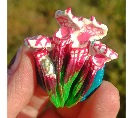 Sarracenia Pink Leuco Fridge magnet