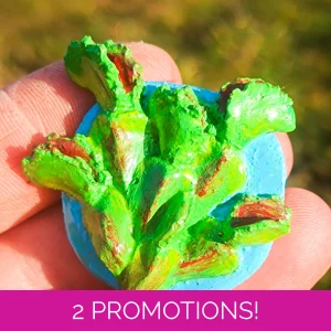Dionaea fridge magnet