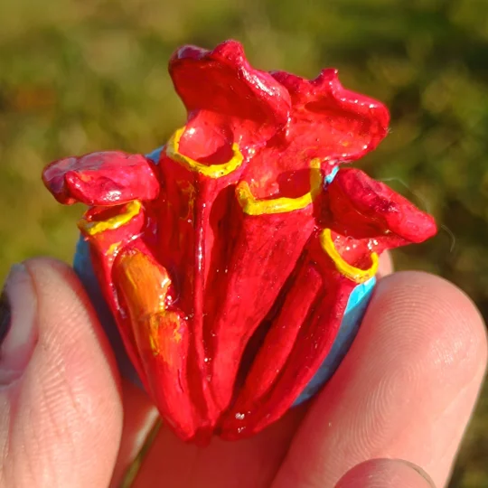 Sarracenia flava Waccamaw fridge magnet