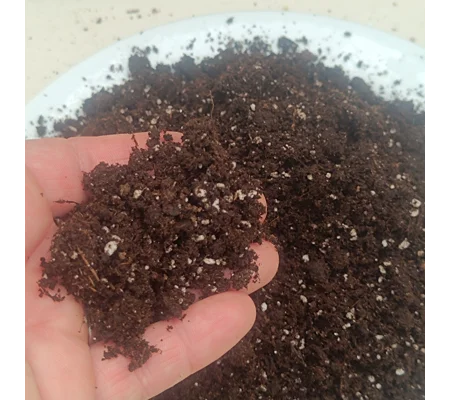 Standard, 2L: substrate for Dionaea, Drosera, Sarracenia, terrestrial Utricularia