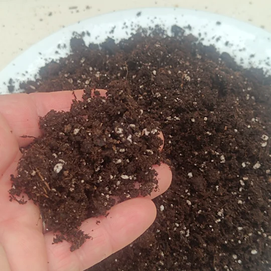 Standard, 2L: substrate for Dionaea, Drosera, Sarracenia, terrestrial Utricularia