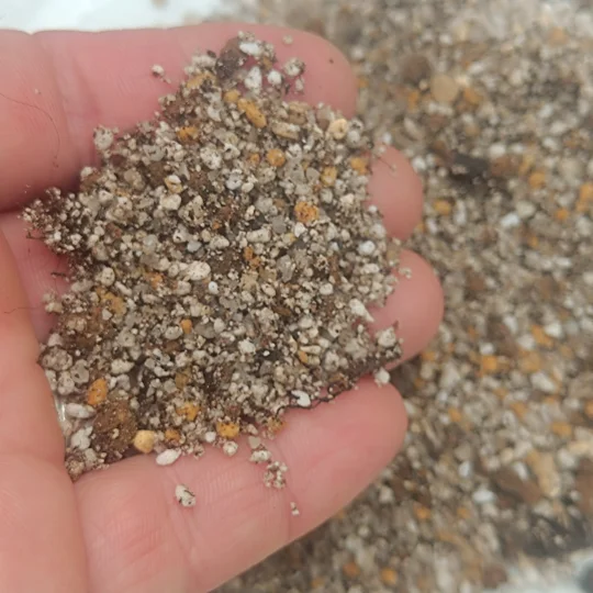Pinguicula substrate, 2 L
