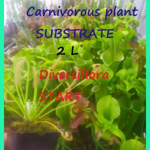 Substrate for CP seeds