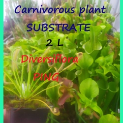 Substrate for Pinguicula