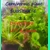 Substrate for Dionaea & Sarracenia