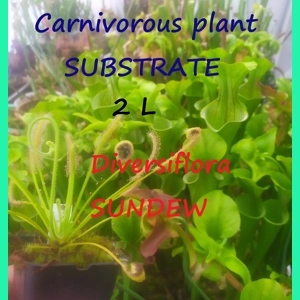 Substrate for Drosera