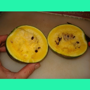 Watermelon Gold Baby, 10 seeds