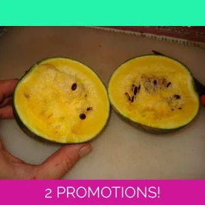 Watermelon Gold Baby, 10 seeds