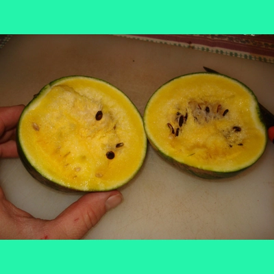 Watermelon Gold Baby, 10 seeds