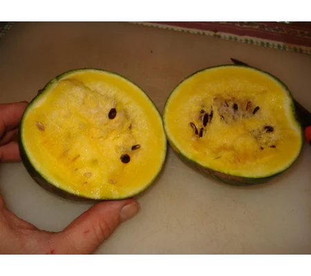 Watermelon Gold Baby, 10 seeds