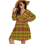 Madras Patterned V-Neck Dress With Waistband 5 (Plus Size)