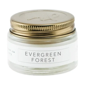 Evergreen Forest