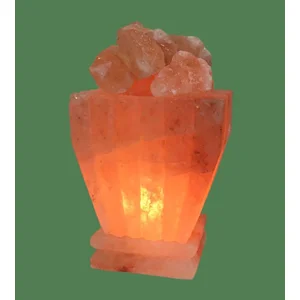 Himalayan Salt Lamp Pink Fire Bowl Square
