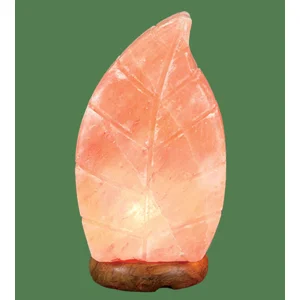 Himalayan Salt Lamp Pink Leaf