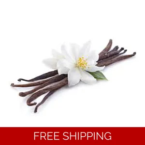 Vanilla Body Oil Sample