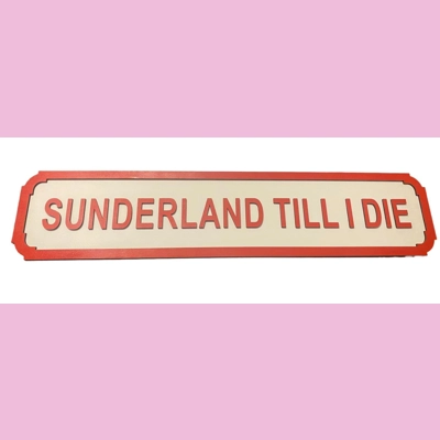 Sunderland till I die