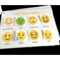 My Feelings & Emotions Book