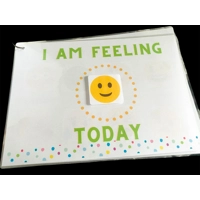 My Feelings & Emotions Book