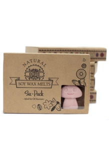 Box of 6 Wax Melts - Co..