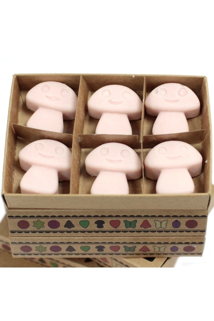 Box of 6 Wax Melts - Old Ginger