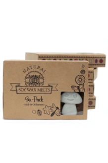 Box of 6 Wax Melts..