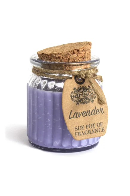 2x Lavender Soy Pot of Fragrance Candles