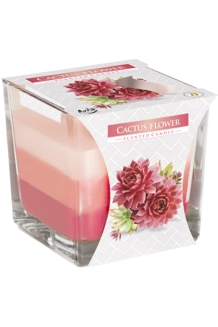 Rainbow Jar Candle - Ca..