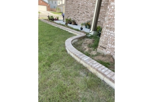 Garden Garden