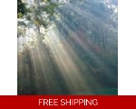 Spiritualist Medium and Tarot Readings