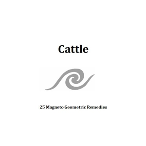 Cattle