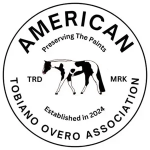 Class 102 ATOA Open Equitation  on the Rail WT/WJ