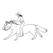 Class 99 Bareback Equitation Go As