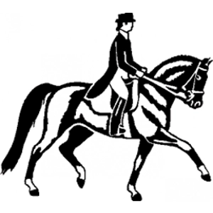 Class 121 USDF Training Level Test 3 (2023)