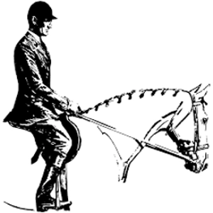 Class 72 Adult Hunter Equitation WT No Pattern