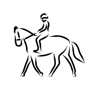 Class 112 Bareback Eq WT/WJ
