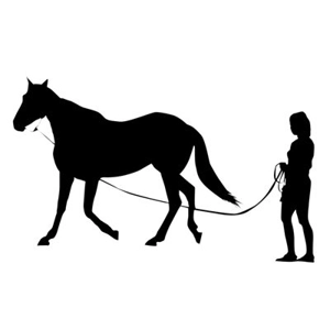 Class 5 Lunge Line Class