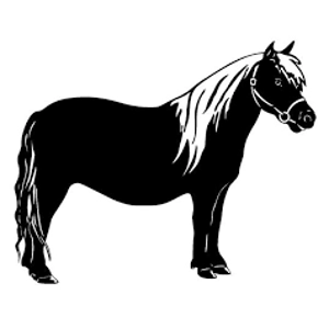Class 83 Mini Horse Halter