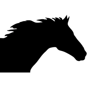 Class 9 Open In-Hand Trail