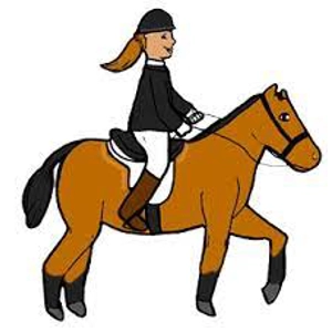 Class 32 Novice YOUTH Rider Showmanship