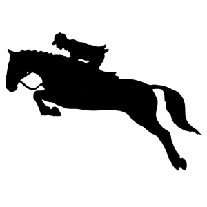 Class 106 Working Hunter Course B