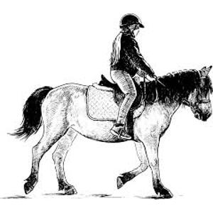 Class 22 Pee Wee Eq. Pattern Class