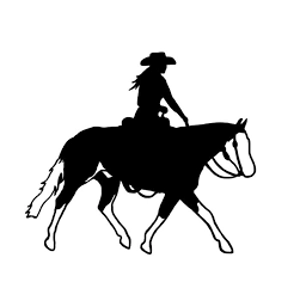Class 83 Ranch Riding Pattern WTL
