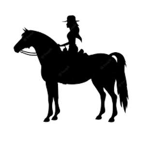 Class 108 Western Dressage Suitability WJ
