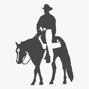 Class 55 Adult Western Horsemanship WJL