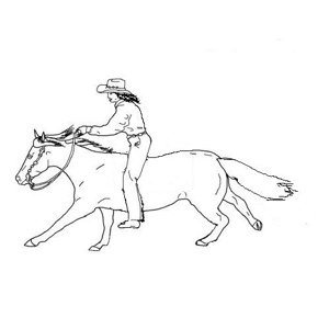 Class 92 No Stirrups/Bareback WT/WJ Equitation WT Pattern