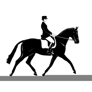 Class 33 Classical Dressage Pick A Test