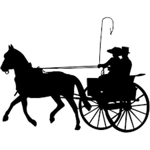 Class 37 Open Reinsmanship