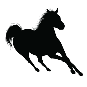 Class 49 Pick Your Course Over Fences