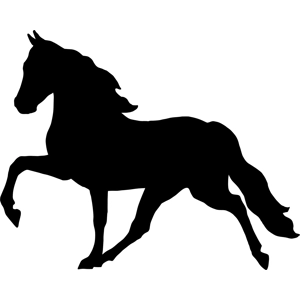 Class 67- Gaited Horse Equitation Pattern W/PG