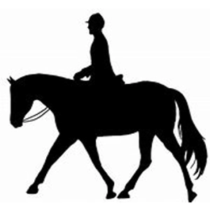 Class 12 Youth Hunter Equitation WTC